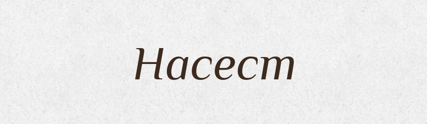 Насест — Російсько-український академічний словник (А–П)