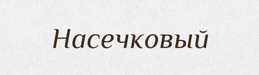 Насечковый — Російсько-український академічний словник (А–П)