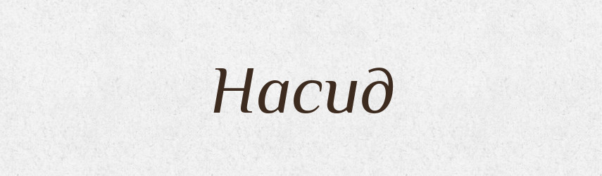 Насид — Російсько-український академічний словник (А–П)