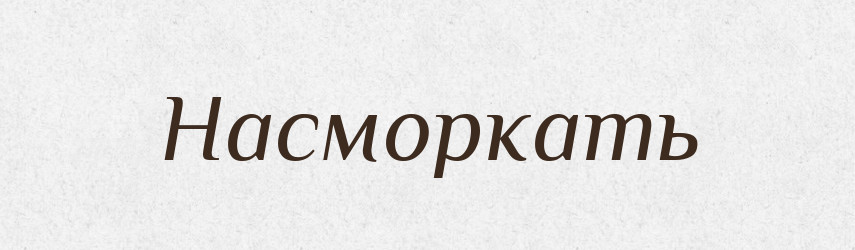 Насморкать — Російсько-український академічний словник (А–П)