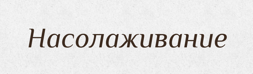 Насолаживание — Російсько-український академічний словник (А–П)