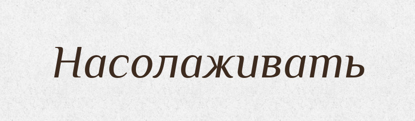 Насолаживать — Російсько-український академічний словник (А–П)