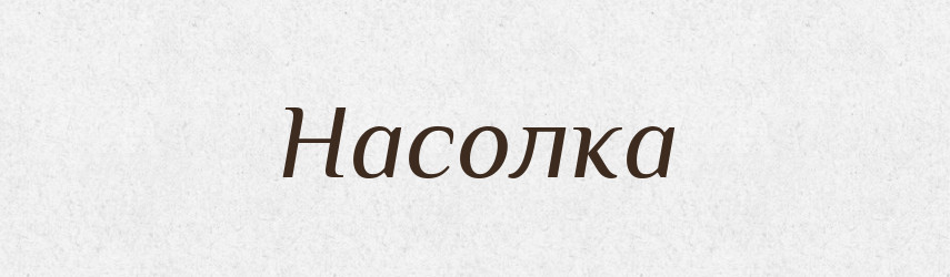 Насолка — Російсько-український академічний словник (А–П)