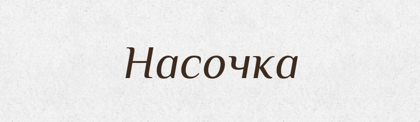 Насочка — Російсько-український академічний словник (А–П)