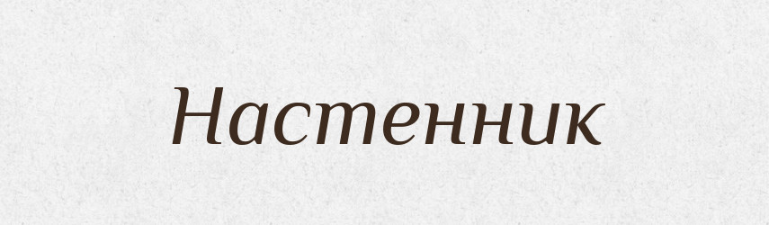 Настенник — Російсько-український академічний словник (А–П)