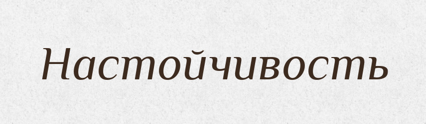 Настойчивость — Російсько-український академічний словник (А–П)