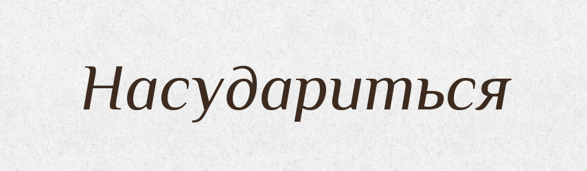 Насудариться — Російсько-український академічний словник (А–П)