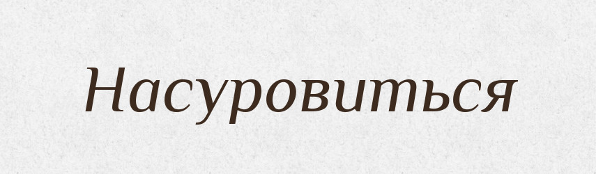 Насуровиться — Російсько-український академічний словник (А–П)