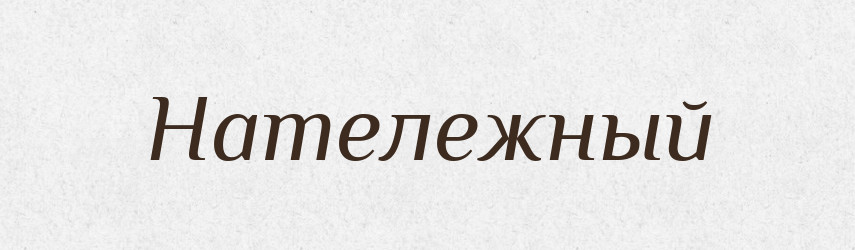 Натележный — Російсько-український академічний словник (А–П)