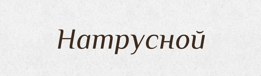 Натрусной — Російсько-український академічний словник (А–П)