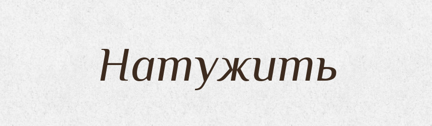Натужить — Російсько-український академічний словник (А–П)
