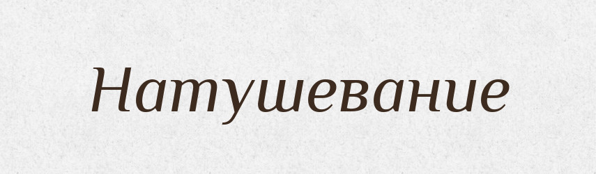 Натушевание — Російсько-український академічний словник (А–П)
