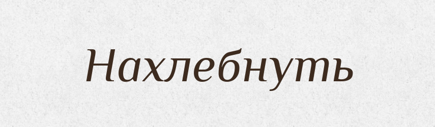 Нахлебнуть — Російсько-український академічний словник (А–П)