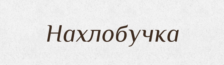 Нахлобучка — Російсько-український академічний словник (А–П)