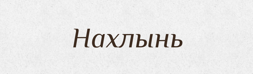 Нахлынь — Російсько-український академічний словник (А–П)