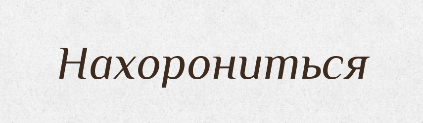 Нахорониться — Російсько-український академічний словник (А–П)