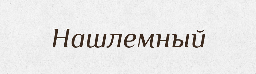 Нашлемный — Російсько-український академічний словник (А–П)