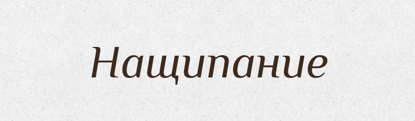 Нащипание — Російсько-український академічний словник (А–П)