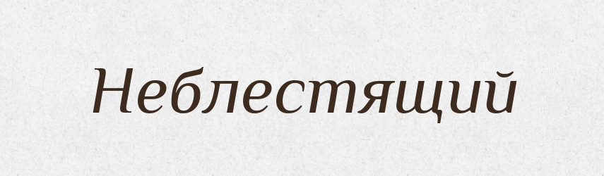 Неблестящий — Російсько-український академічний словник (А–П)