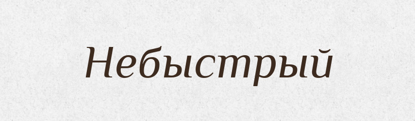 Небыстрый — Російсько-український академічний словник (А–П)