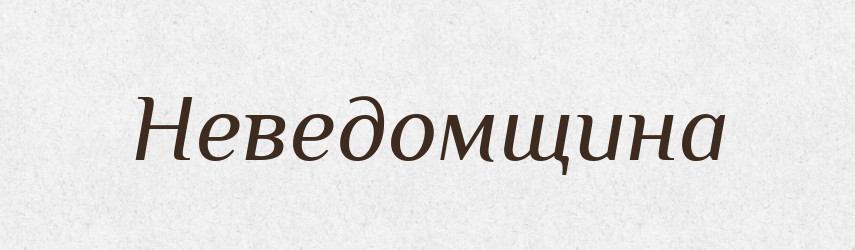 Неведомщина — Російсько-український академічний словник (А–П)