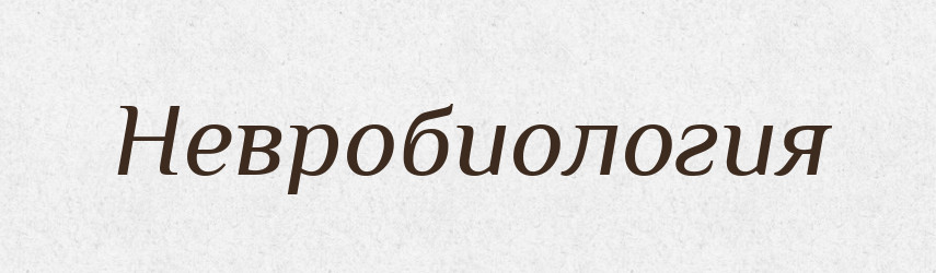 Невробиология — Російсько-український академічний словник (А–П)
