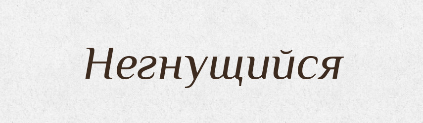 Негнущийся — Російсько-український академічний словник (А–П)