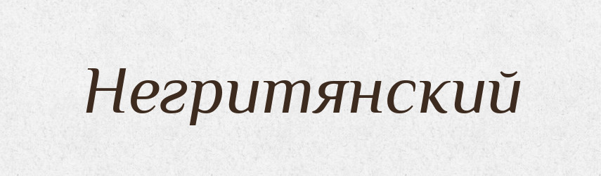 Негритянский — Російсько-український академічний словник (А–П)