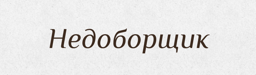 Недоборщик — Російсько-український академічний словник (А–П)