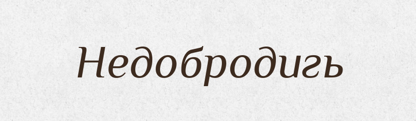 Недобродигь — Російсько-український академічний словник (А–П)