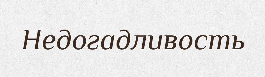 Недогадливость — Російсько-український академічний словник (А–П)