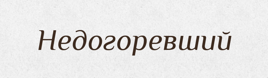Недогоревший — Російсько-український академічний словник (А–П)