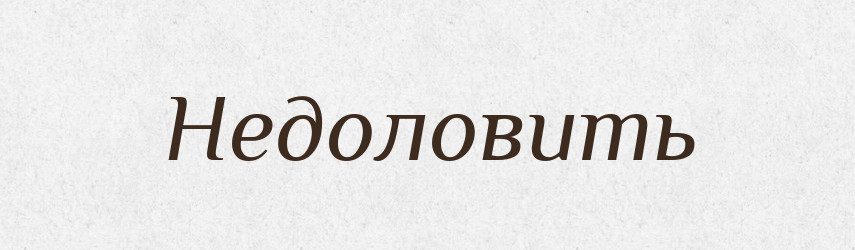 Недоловить — Російсько-український академічний словник (А–П)