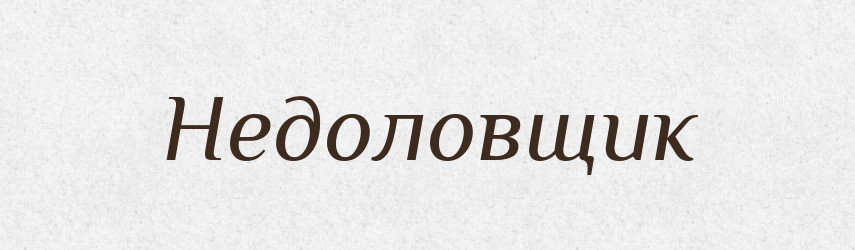Недоловщик — Російсько-український академічний словник (А–П)