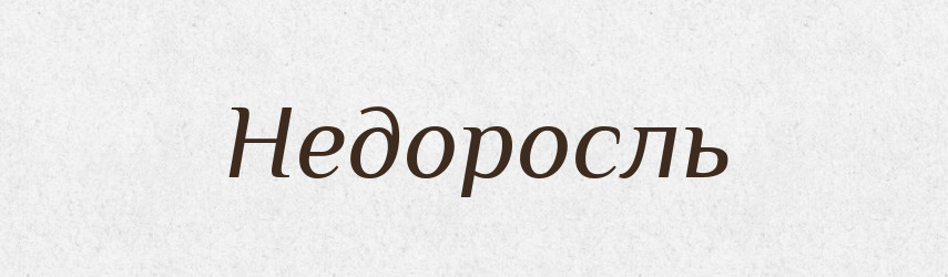 Недоросль — Російсько-український академічний словник (А–П)