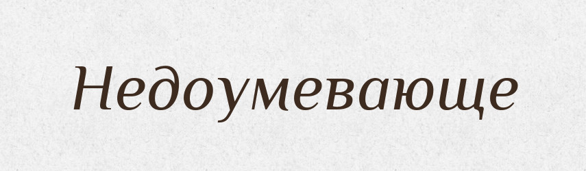 Недоумевающе — Російсько-український академічний словник (А–П)