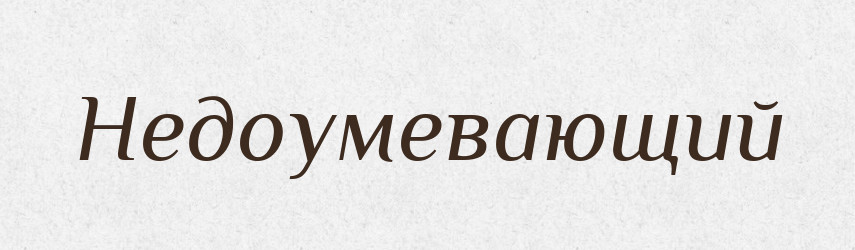 Недоумевающий — Російсько-український академічний словник (А–П)