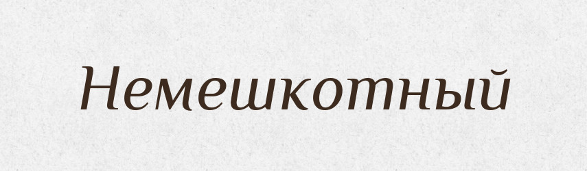 Немешкотный — Російсько-український академічний словник (А–П)