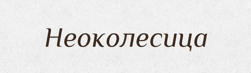 Неоколесица — Російсько-український академічний словник (А–П)