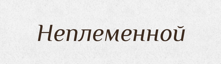 Неплеменной — Російсько-український академічний словник (А–П)