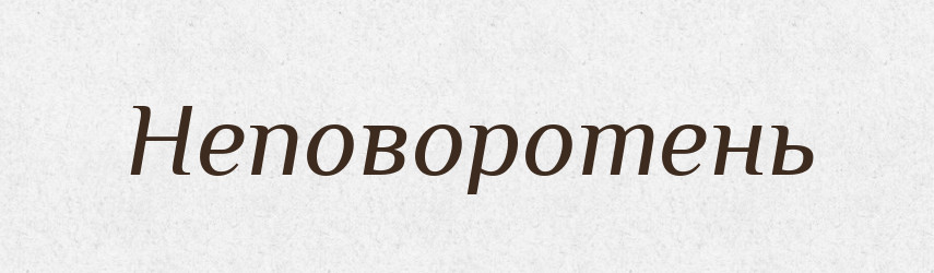 Неповоротень — Російсько-український академічний словник (А–П)