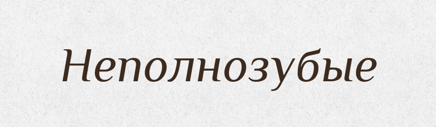 Неполнозубые — Російсько-український академічний словник (А–П)