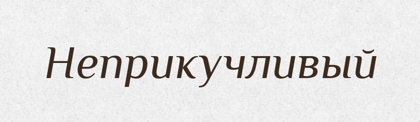Неприкучливый — Російсько-український академічний словник (А–П)