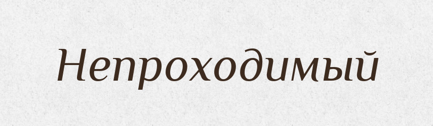 Непроходимый — Російсько-український академічний словник (А–П)