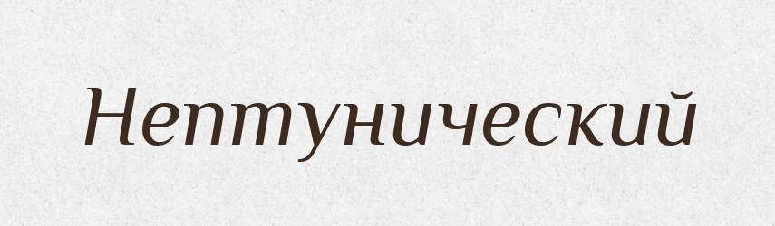 Нептунический — Російсько-український академічний словник (А–П)