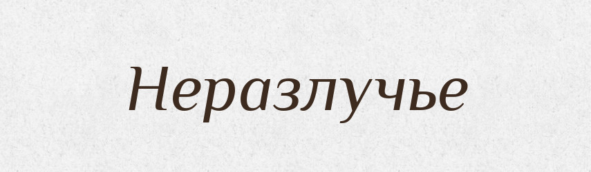 Неразлучье — Російсько-український академічний словник (А–П)