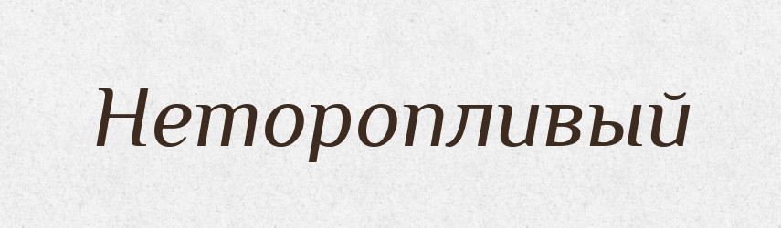 Неторопливый — Російсько-український академічний словник (А–П)