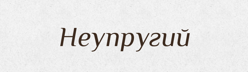 Неупругий — Російсько-український академічний словник (А–П)