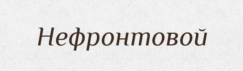 Нефронтовой — Російсько-український академічний словник (А–П)