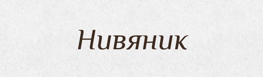 Нивяник — Російсько-український академічний словник (А–П)